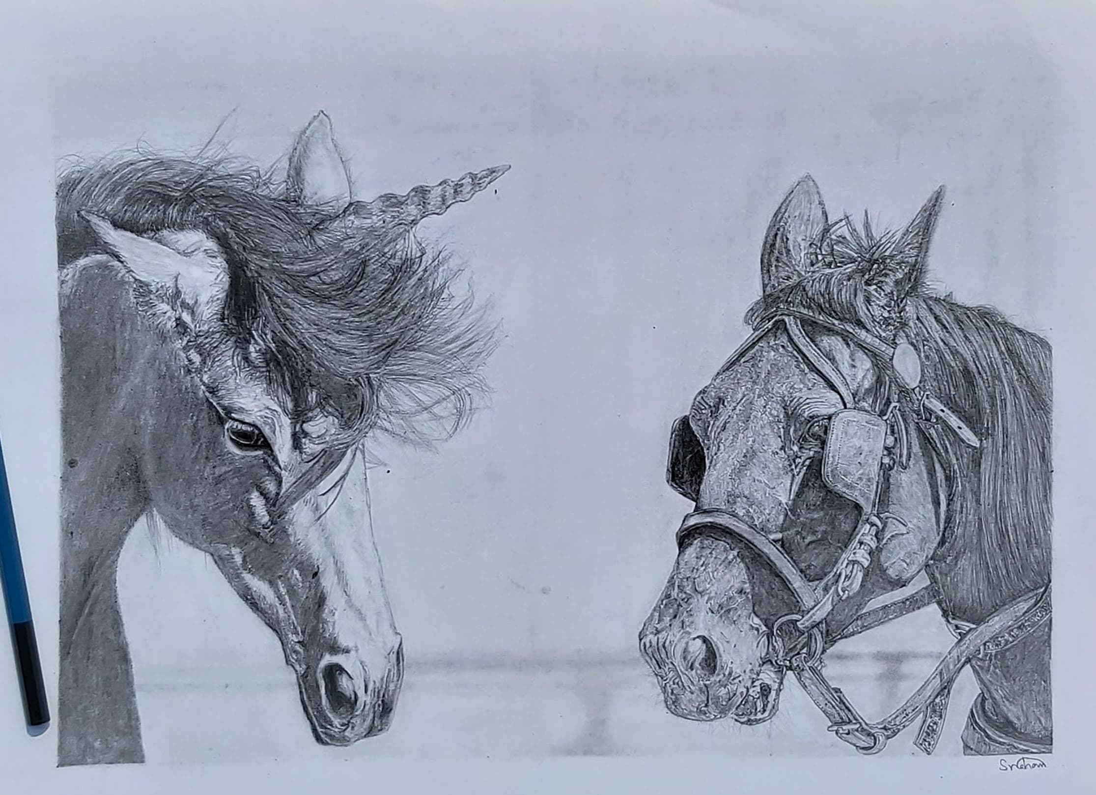 Graphite drawing of a unicorn foal and a horse in a bridle